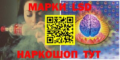 сатива Ставрополь