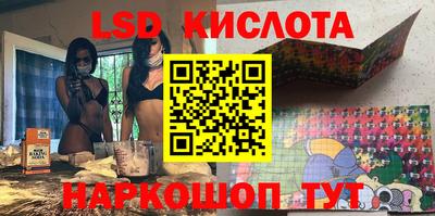 сатива Ставрополь