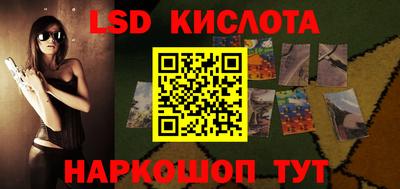 сатива Ставрополь